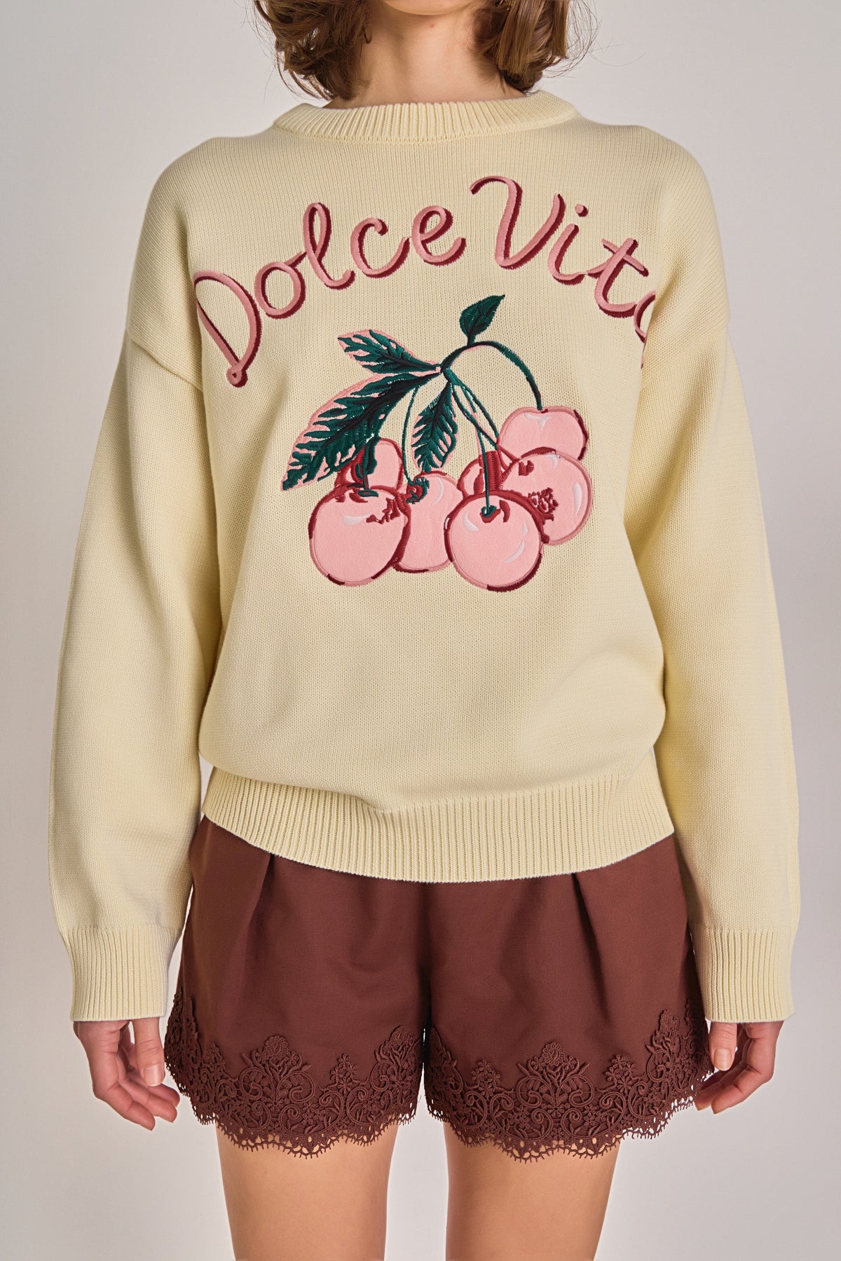 Dolce Vita Knit Sweater