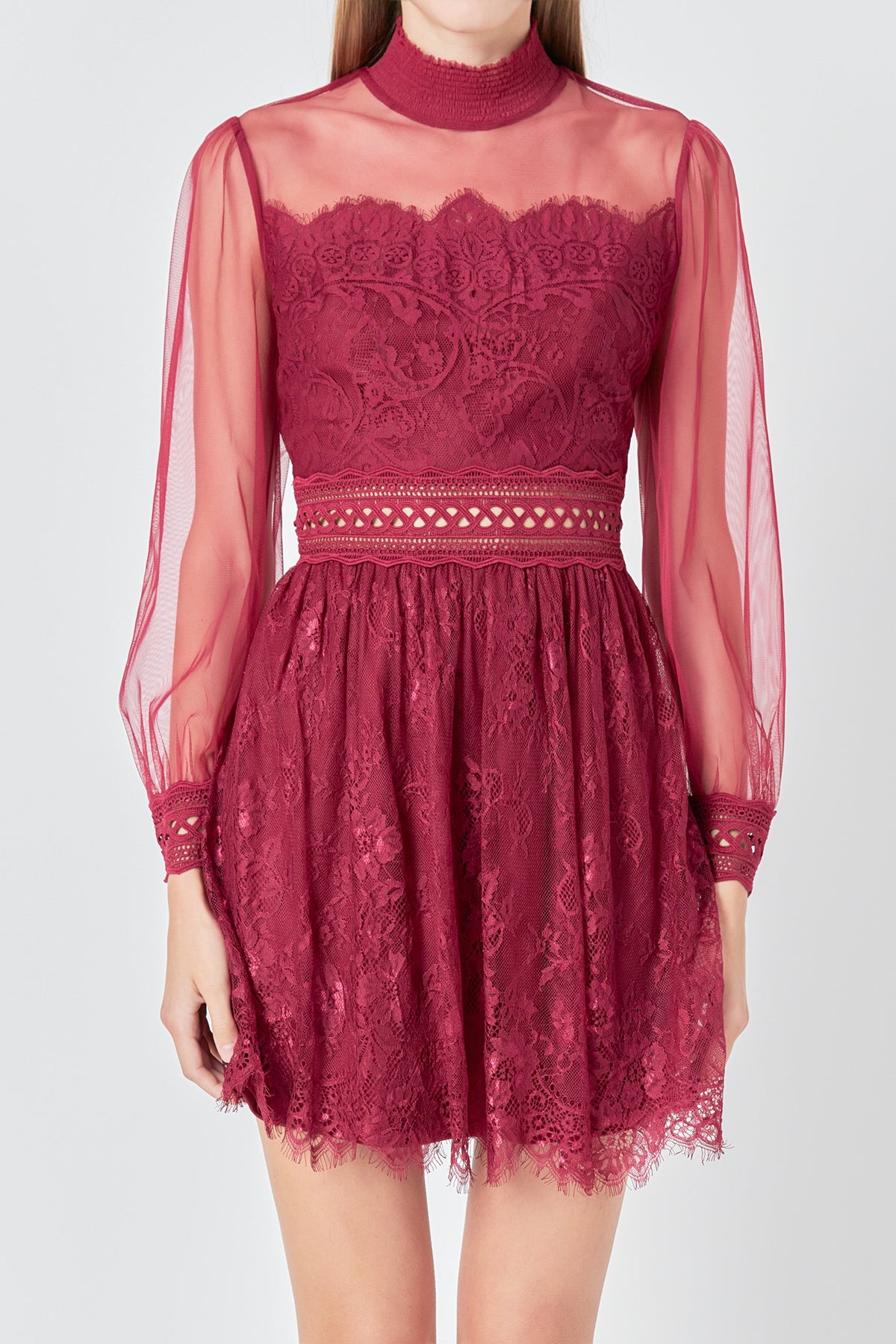 Sheer Long Sleeve Lace Mini Dress