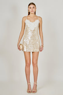 Sequin Lace Mini Dress